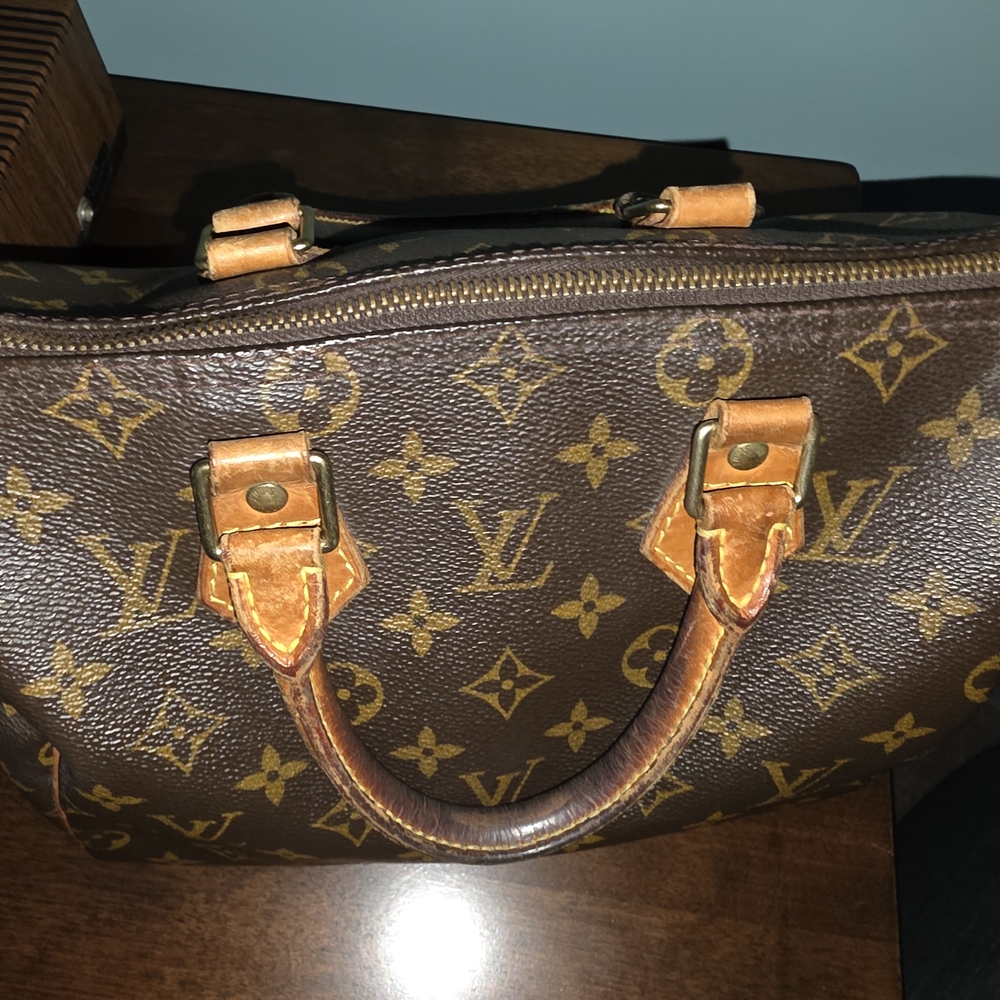 Louis Vuitton Brown and Tan Satchel